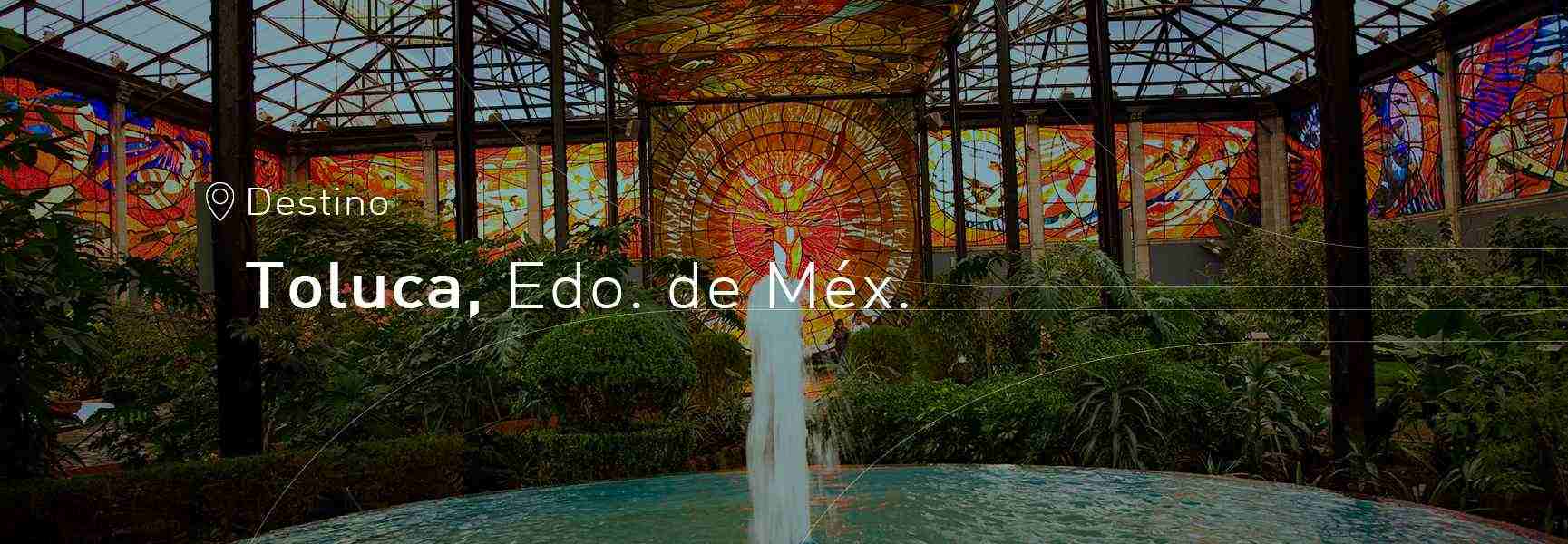 Boletos de autobús a toluca etn turistar lujo